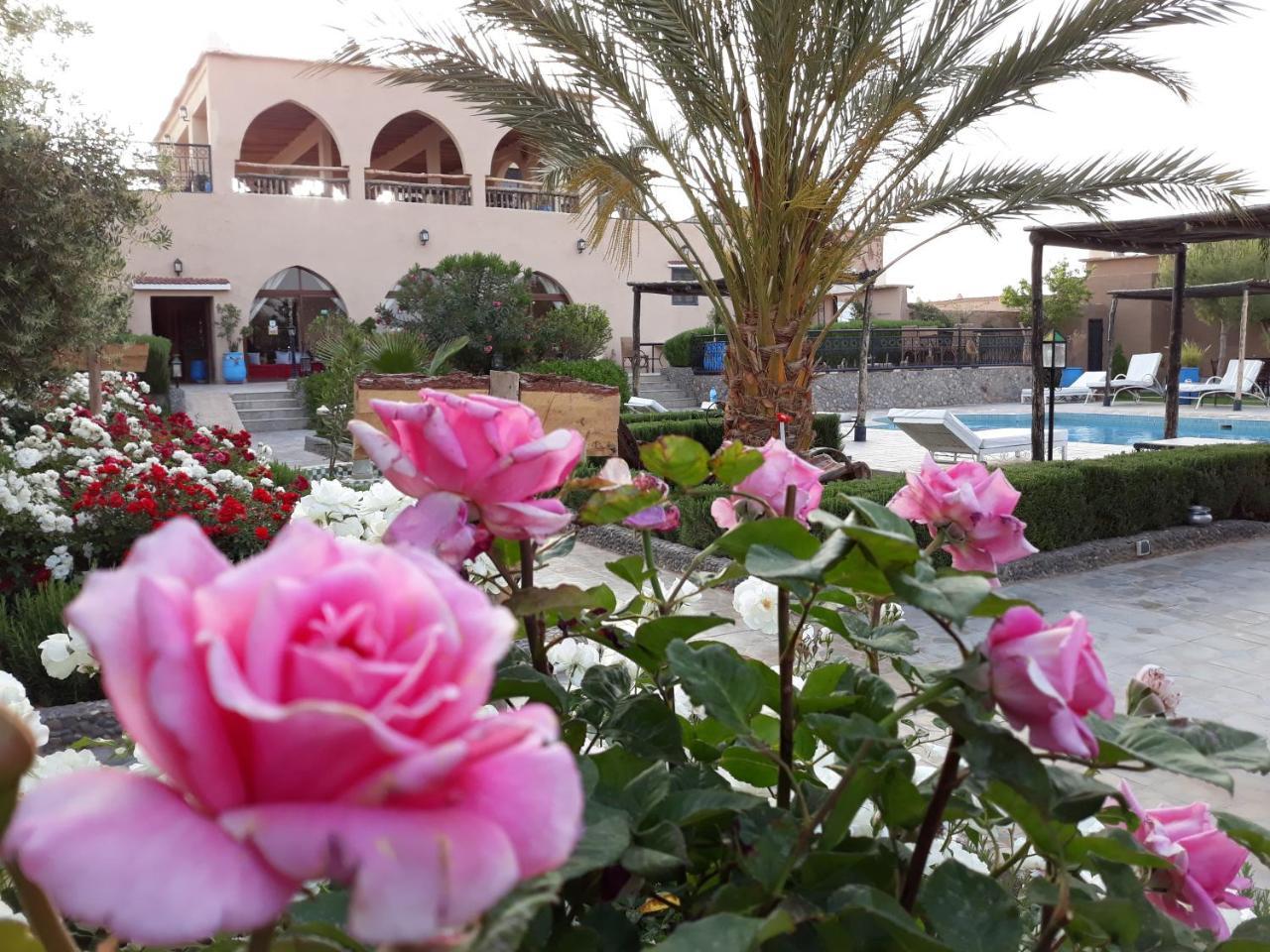 Taloute Ecolodge Skoura Exterior foto